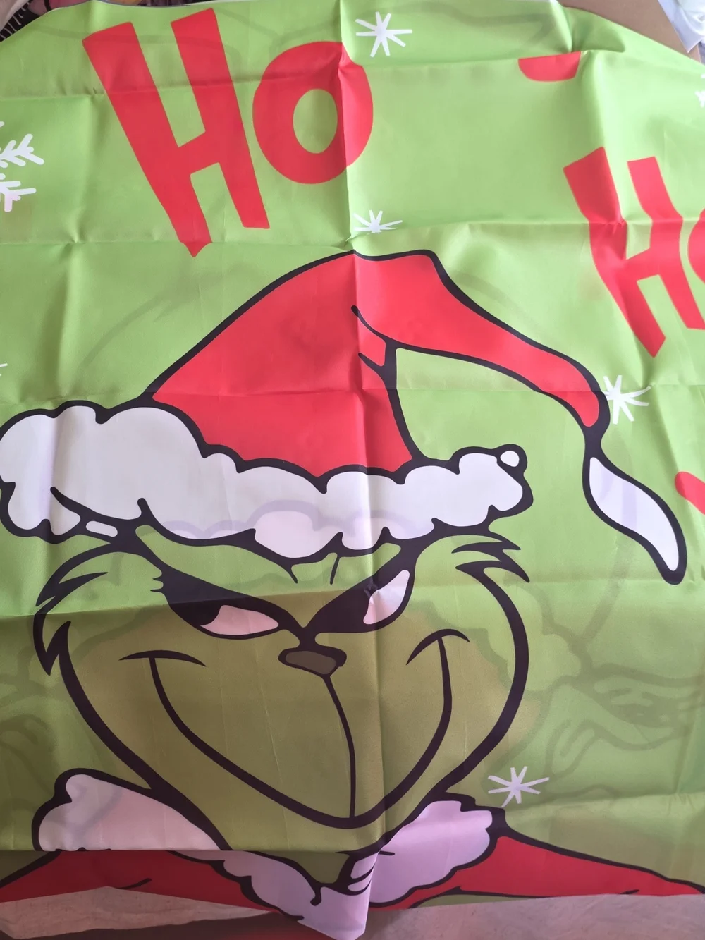 Green Grinch Holiday Throw Pillow Cover with Red Santa Hat